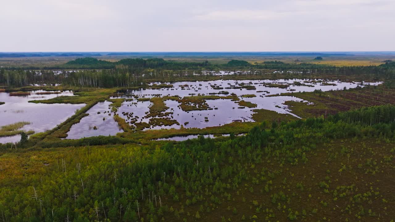 Sorvolo di zone umide nel parco nazionale di Ķemeri con drone che riflette ecosistemi fragili a rischio