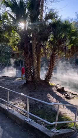 aguas termales en el parque de florida