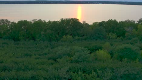 Los-árboles-Y-Las-Plantas-En-El-Lado-De-La-Costa-Flotando-Con-Un-Hermoso-Vuelo-Aéreo-De-Drones-Sobre-El-Lago-Seneca-Nueva-York-Al-Atardecer