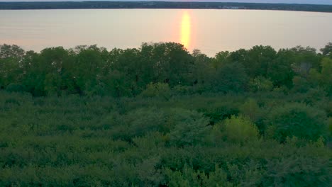 the trees and plants on the coast side floating over with a beautilful drone aerial fly over seneca lake new york at sunset