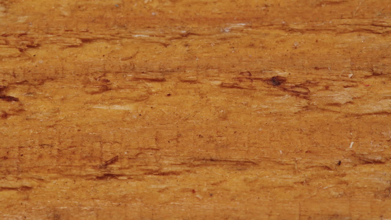 primer plano de la textura de la madera