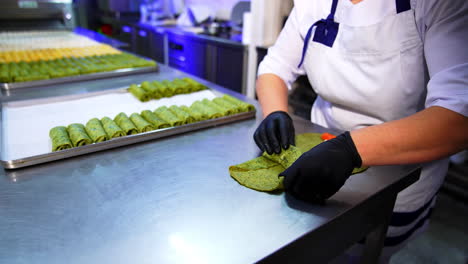 female restaurant cook covers the stuffing in a green crepe. ready rolled pancakes are beautifully laid on the metal trays. blurred backdrop.