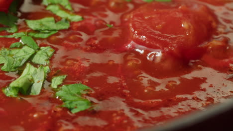 Close-up of Tomato Sauce Cooking