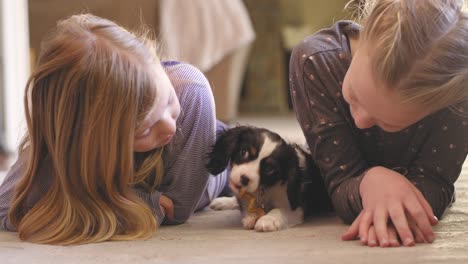 young girls laying on a living room floor a they watch as their adorable puppy.