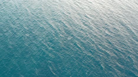 tranquil ocean surface background footage, gentle waves of sea, aerial