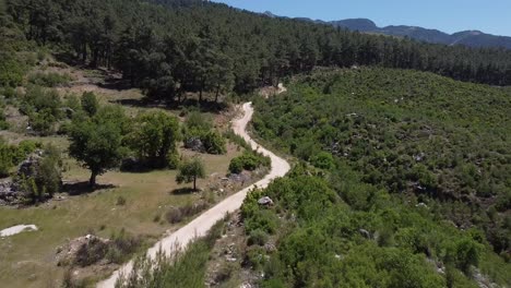 aerial following a small gravel road through green forest in southern turkey