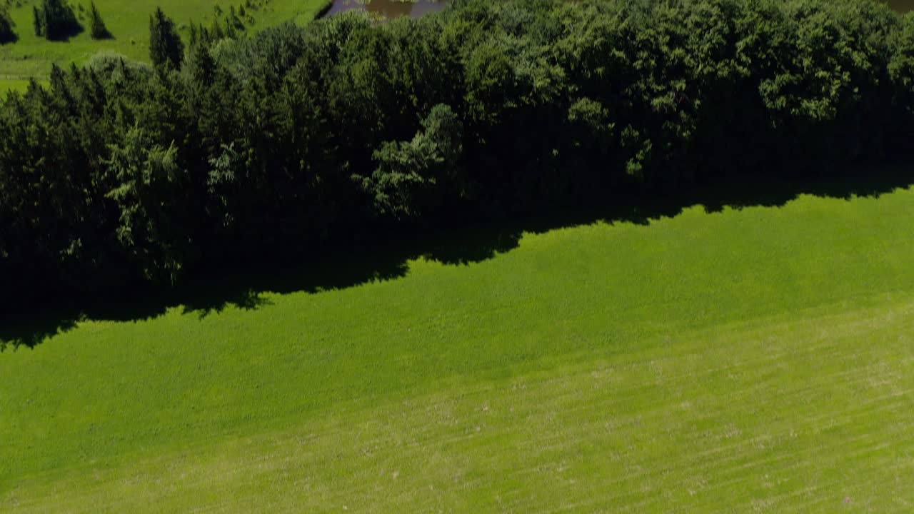 inclinación hacia arriba muestra una toma desde un prado verde hasta un paisaje impresionante con casas, un pequeño arroyo y campos con el panorama montañoso de los alpes, capturado por un dron en 4k