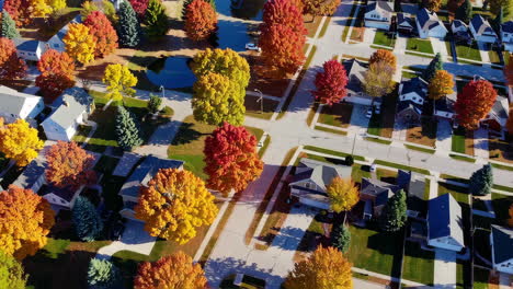 autumn colors in a suburban neighborhood