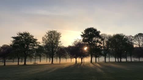 Un-Amanecer-Increíble-A-Través-De-Los-árboles-En-Una-Mañana-Brumosa-|-Edimburgo,-Escocia-|-Alta-Definición,-24-Fps