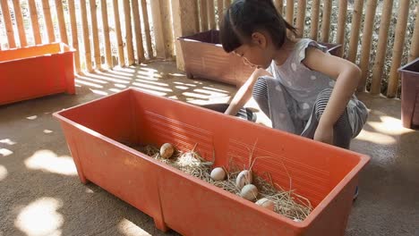 Asiatisches-Kindermädchen,-Das-Enteneier-Bewirtschaftet,-Aktivitätssommercamp-schulpause