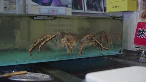 gran cangrejo vivo visto en un tanque en el mercado matutino de hakodate asaichi