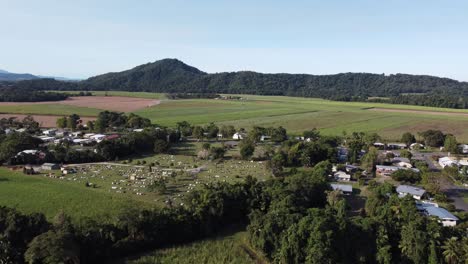 drone ascending over a small country town showing the town cemetery and a large sugarcane plantation with mountains in the background