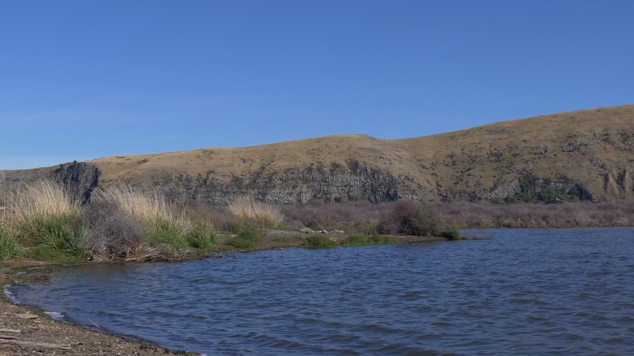 el agua del lago fluye constantemente hacia la orilla en un hermoso y soleado día de verano - lago forsyth