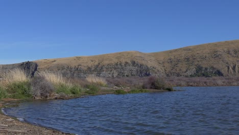 Lake-water-flows-steadily-into-shore-on-a-beautiful,-sunny-summer's-day---Lake-Forsyth