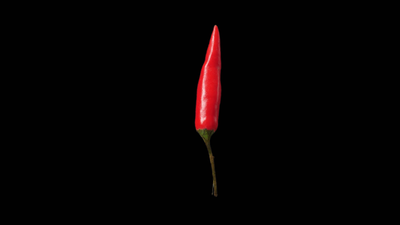 Red Chili Rotating With Alpha Channel, Video In 4K