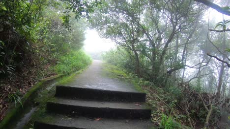 Hong-Kong-Victoria-Peak-Und-Gärten