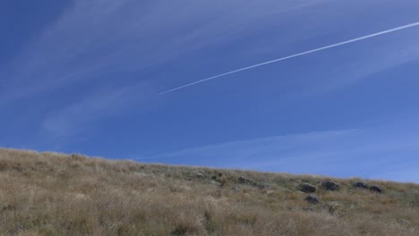 jet aircraft leaves vapor trail across beautiful blue sky in summertime - breeze col, banks peninsula