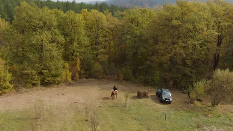 Niña-Monta-A-Caballo-En-El-Campo-De-Hierba-Junto-Al-Bosque