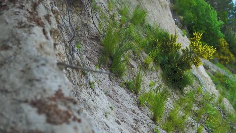 Slow-motion-view-of-seaside-from-clif