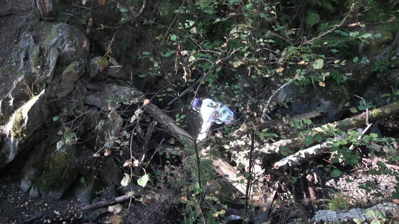 숲에서 산책하는 사람