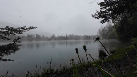 Schnee-Fällt-Im-Frühlingsanfang-Mit-Blumen-Im-Vordergrund-Und-Einem-Mystischen-See-Im-Hintergrund