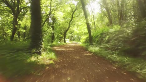 drone footage of peaceful countryside