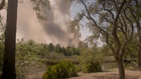 five mile swamp fire in santa rosa county from may 2020