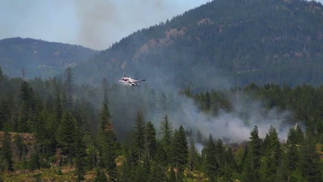 Ein-Clip-über-Ein-Flugzeug,-Das-über-Bewaldeten-Bergen-Fliegt