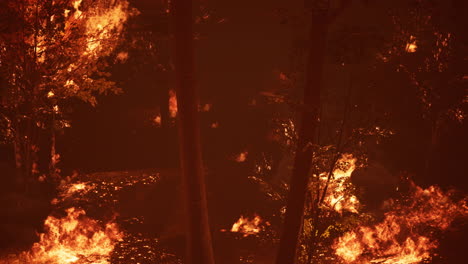 large-flames-of-forest-fire-at-night