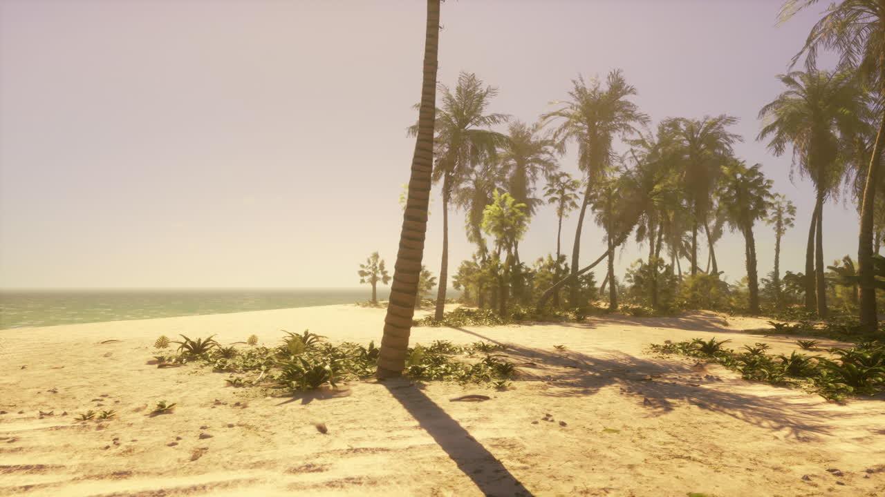 песчаный пляж с пальмами и океаном на заднем плане