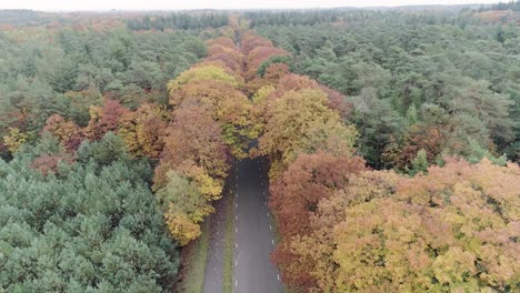 Drohnenaufnahme-Eines-Autos,-Das-Eine-Waldstraße-Hinunterfährt