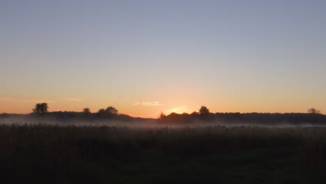 a panning shot of silhouette of birds flying above the cultivable land at amazing sunset time