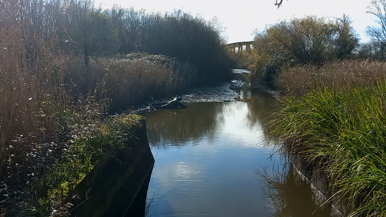 un pequeño afluente del río en los campos inferiores de mondego, con un poco de niebla