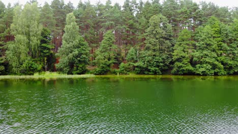 Reflexiones-De-Los-árboles-Del-Bosque-En-El-Lago-Verde-Y-Tranquilo-En-Pradzonka,-Distrito-De-Gmina-Studzienice,-Norte-De-Polonia-Durante-El-Día