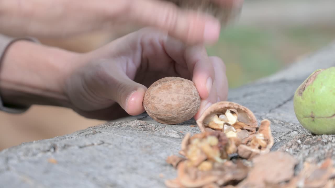 Close-up of Hands Cracking Walnuts Outdoors