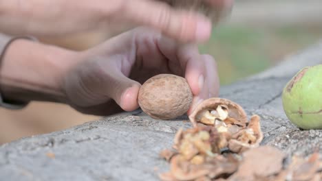 close-up of hands cracking walnuts outdoors