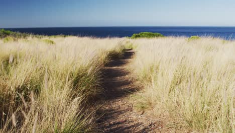 Hombre-Afroamericano-Corriendo-A-Campo-Traviesa-En-El-Campo-Junto-A-La-Costa