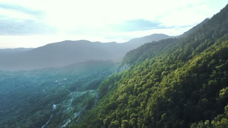 mountainous landscape with lush forest