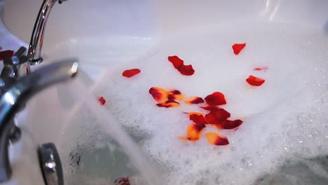 modern bathtub filling up with water, rose petals floating in water