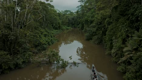 traditional wooden boat sailing on exotic forest in the amazon rainforest