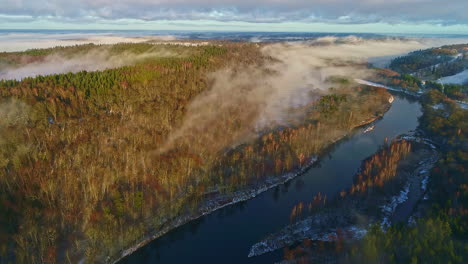 aerial view over foggy forested landscape and river - pristine nature, gauja