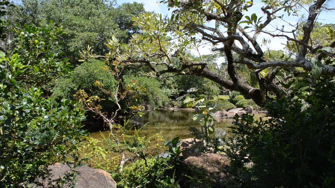 La naturaleza en un jardín
