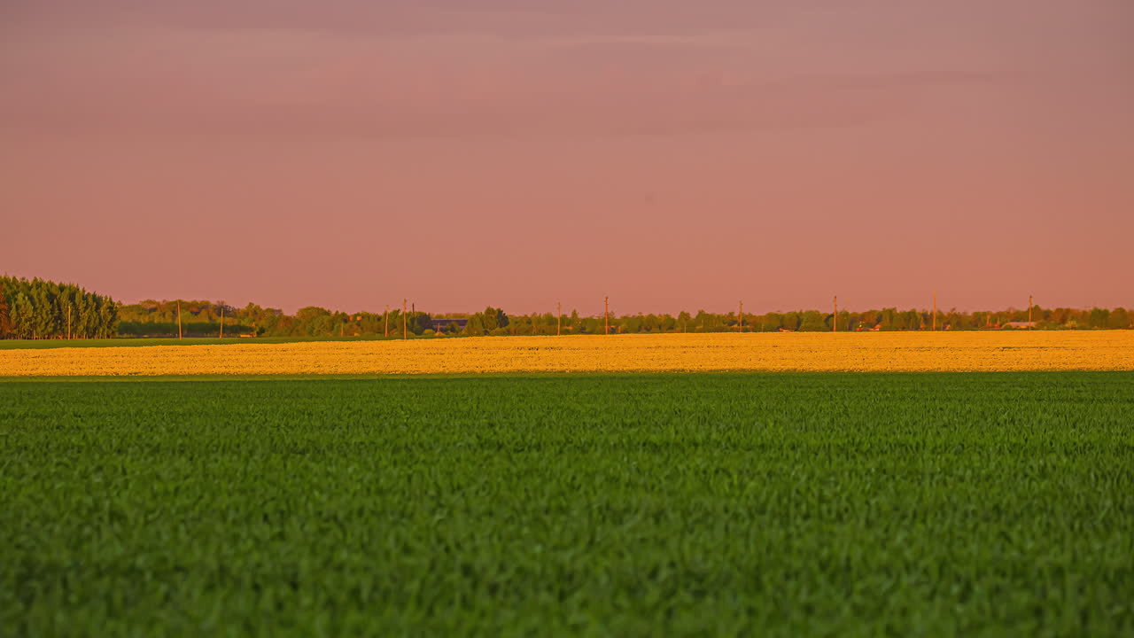 Green farm fields at sunset. Timelapse shot