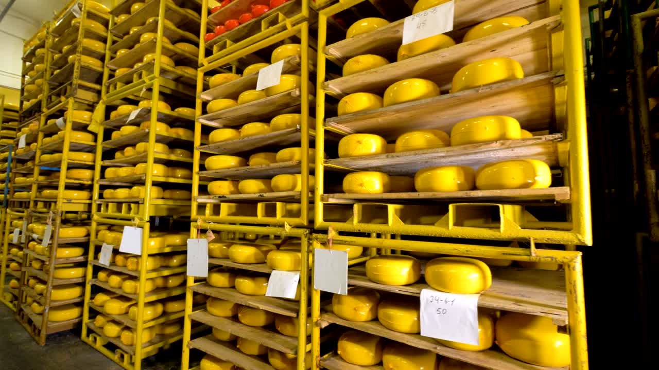 diferentes tipos de queso almacenados en la fábrica de queso.