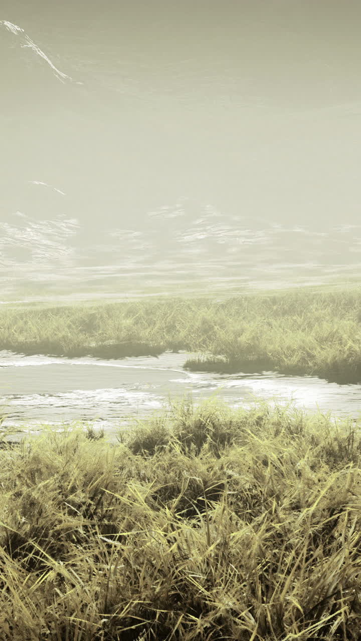 Misty landscape revealing a hidden pond surrounded by lush grass