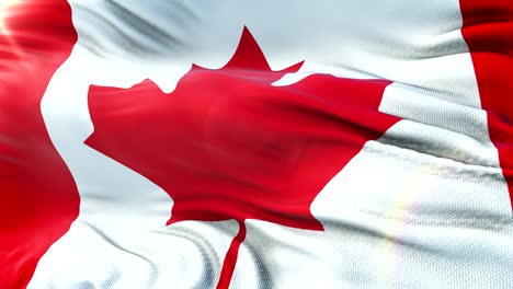 flag of canada waving on sun. seamless loop with highly detailed fabric texture. loop ready in 4k resolution.