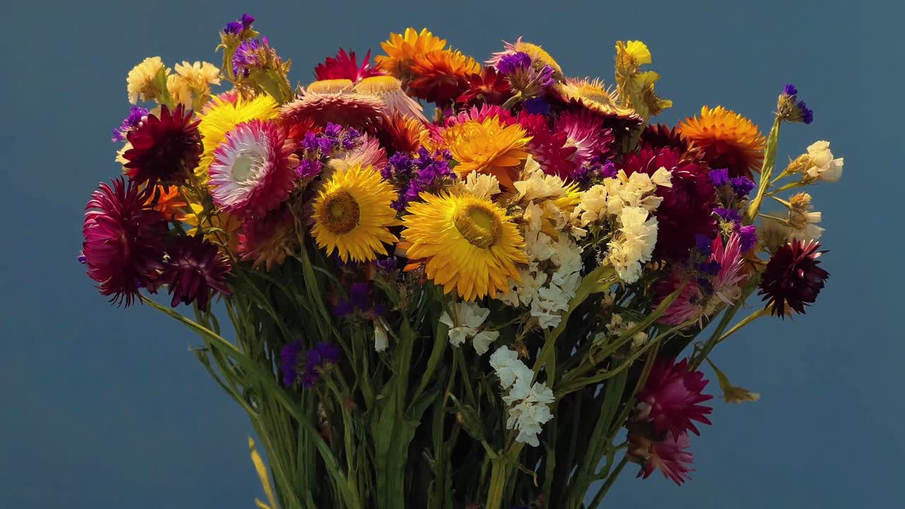 Ein üppiges, farbenfrohes Arrangement aus getrockneten Strohblumen mit gelben, rosa- und burgunderroten Strohblumen, gemischt mit lila und weißem Strandflieder