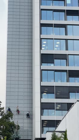 building maintenance workers on a skyscraper