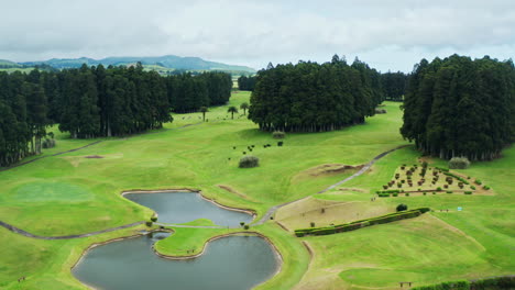 Filmische-Drohnenaufnahme-Aus-Der-Luft-Eines-Grünen-Golfplatzes