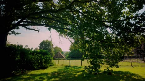 sunlight flares through large trees in a lush meadow, revealing a traditional dutch farm in the veluwe region's serene landscape